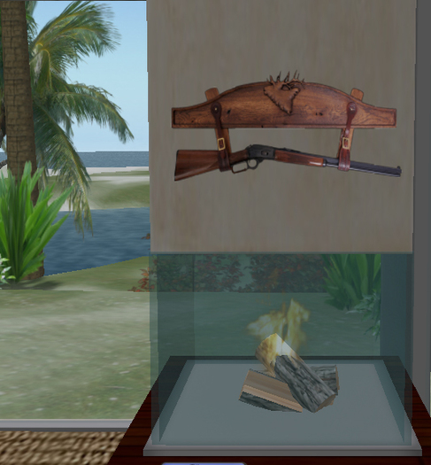 Wall  mounted gun