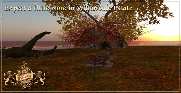 Willowdale Estate - Season Change Land