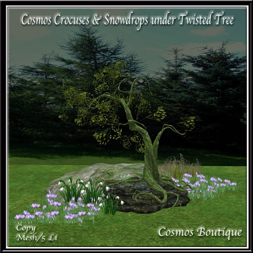 Cosmos Crocuses & Snowdrops under Twisted Tree MESH(BOX)