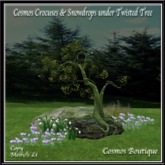 Cosmos Crocuses & Snowdrops under Twisted Tree MESH(BOX)
