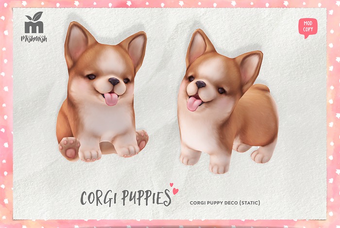 MishMish - Corgi Puppy Deco [Boxed](attach)