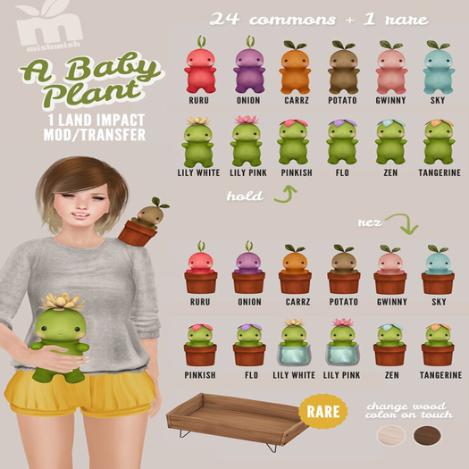 *MishMish* A Baby Plant - Zen