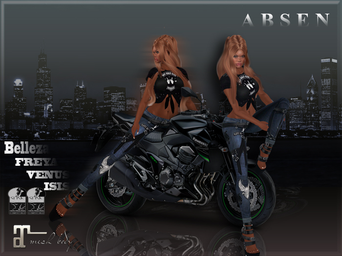 0357 **ABSEN** BIKER SERIES -NEED FOR SPEED- 