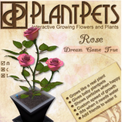 PlantPet Seed [Rose *Dream Come True*]