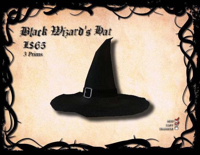 Black Wizard's Hat