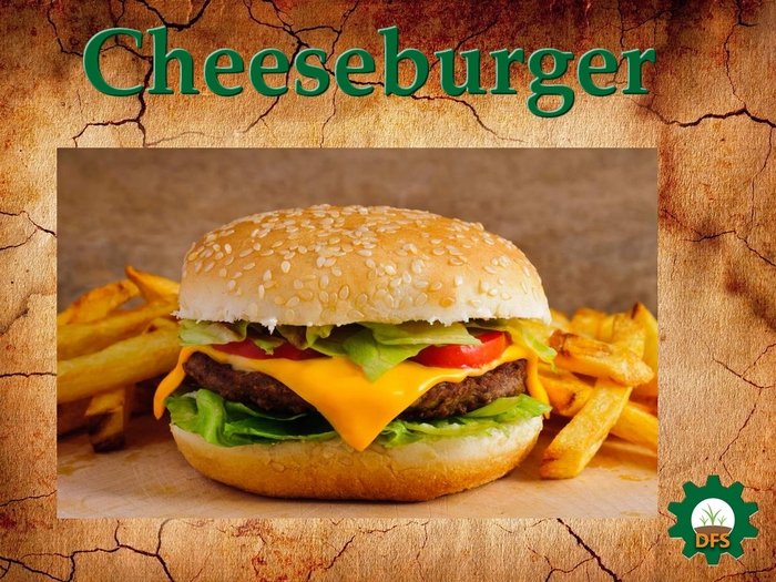 DFS Texture Cheeseburger
