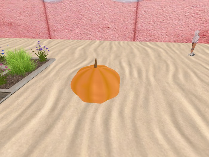 Fun pumpkin DONT TOUCH BUT THEN:: booom!