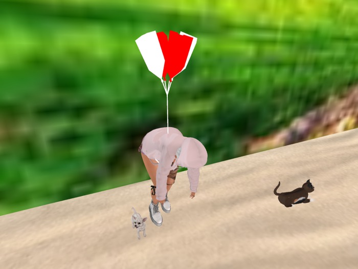Funny balloons