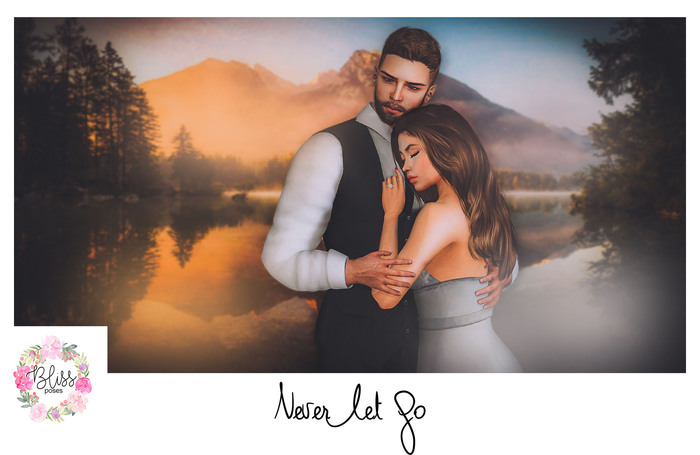 {BLISS} Poses Boxed - Never Let Go