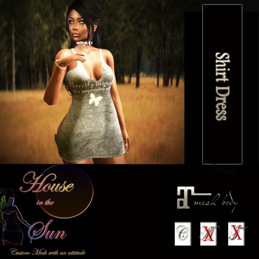 Shirt Dress Disguised