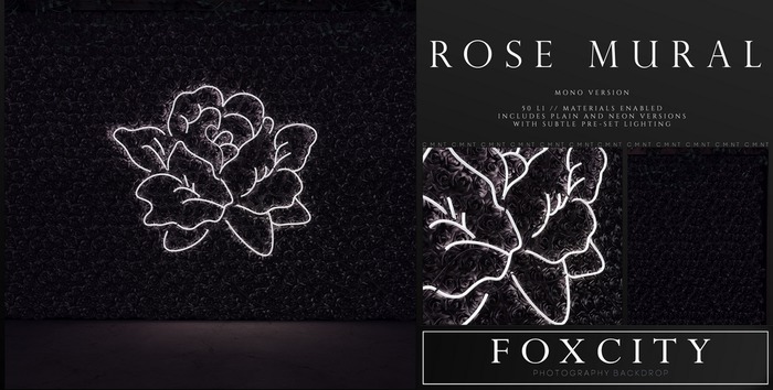 FOXCITY. Photo Booth - Rose Mural (Mono)