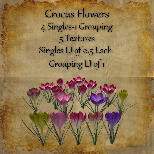 Bad Katz Crocus Flowers