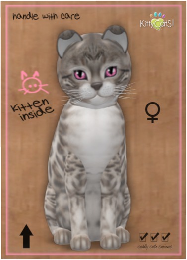 KittyCatS Box - Bengal - Snow