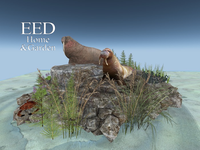 EED's SEA ROCKS w WALRUSES resizer c- boxed