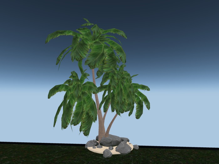 EED's PALM TREES on the ROCKS resizer c - boxed