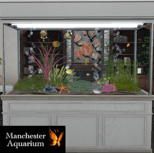 -SS- Manchester Aquarium