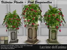 Victorian Planter - Pink Bougainvillea