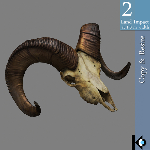 3D / Ram Skull / 2 land impact