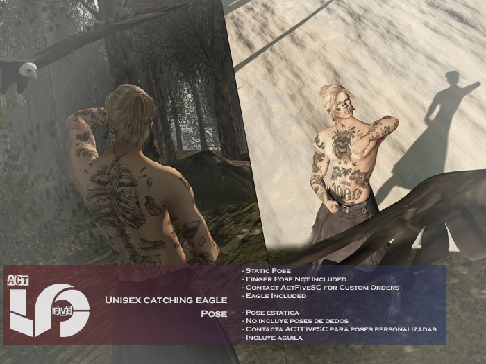 ACT5-68-Unisex Model Catching Eagle Pose BOXED