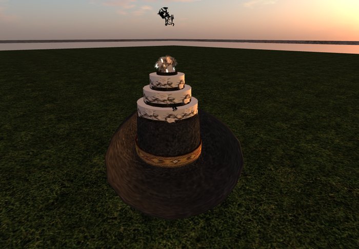 Country Western Cake 