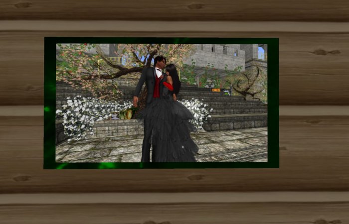 Multi-Photo Display (Transferable)