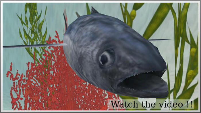90001 blue fin tuna