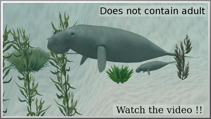 71002 manatee baby