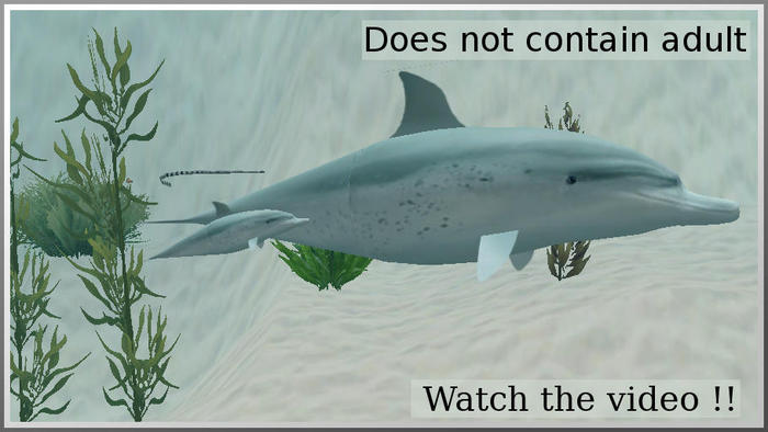 56012 dolphin2 baby