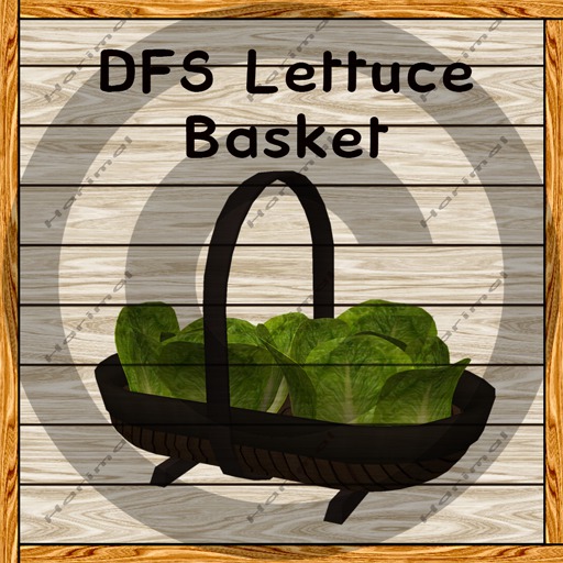 DFS Lettuce Basket TEXTURE