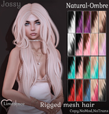 {Limerence} Jossy hair-Natural Ombre