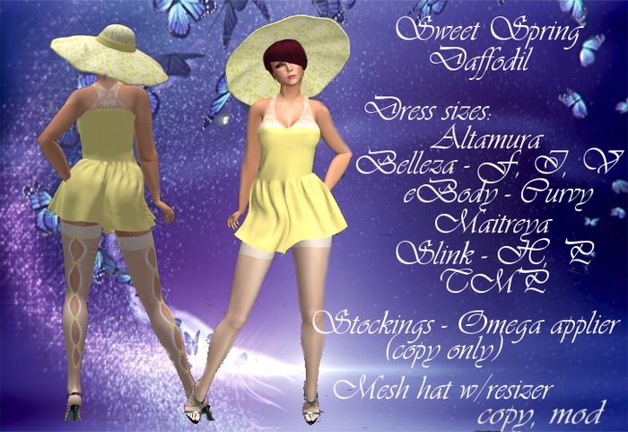 Sweet Spring Daffodil