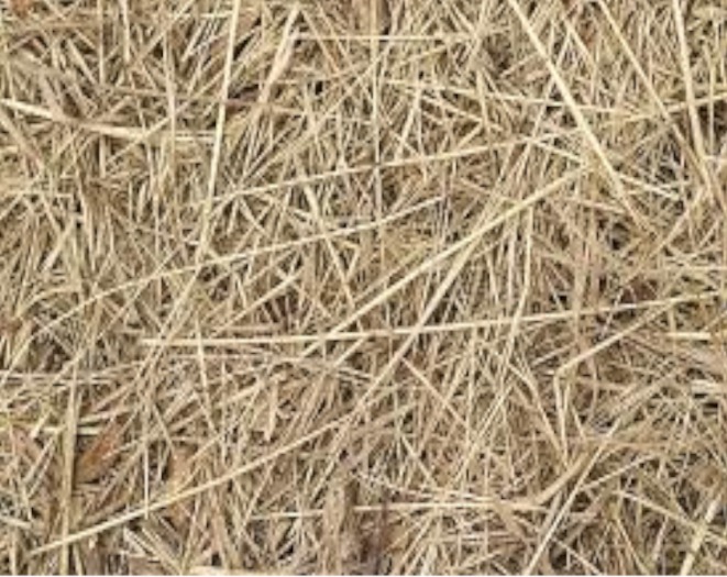 straw texture (No transfer!)