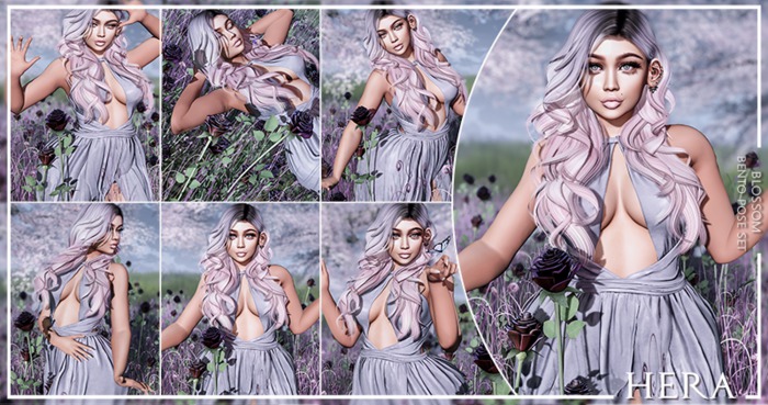 HERA - Blossom Bento Pose Set.