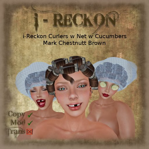 i-Reckon Curlers w Net w Cucumbers Mark Chestnutt Brown 
