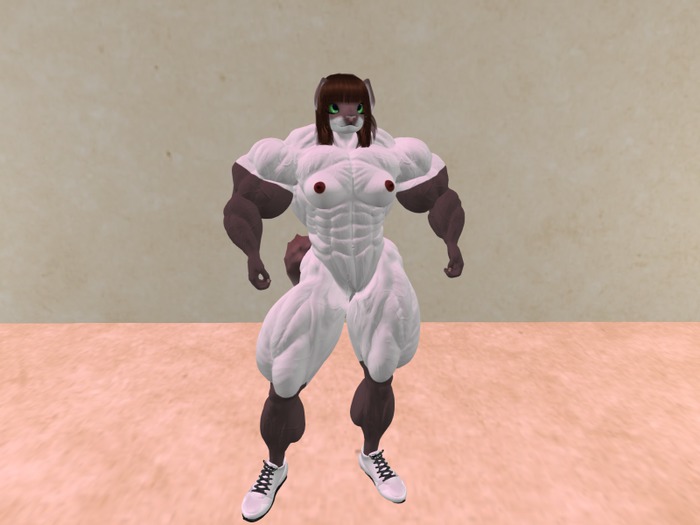 devMuscle_Alina_Skin_Applier Siamese