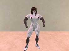 devMuscle_Full_Applier(Siamese)_v2.1