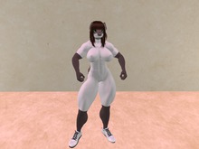 Omega Advanced Applier - Siamese