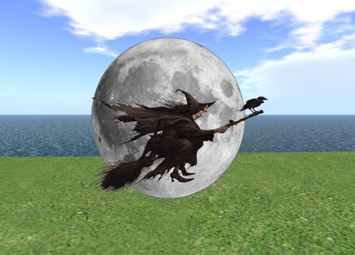 Witch On A Broomstick