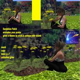 DANDELION Patch gives a flowers makes you sneeze-Crate