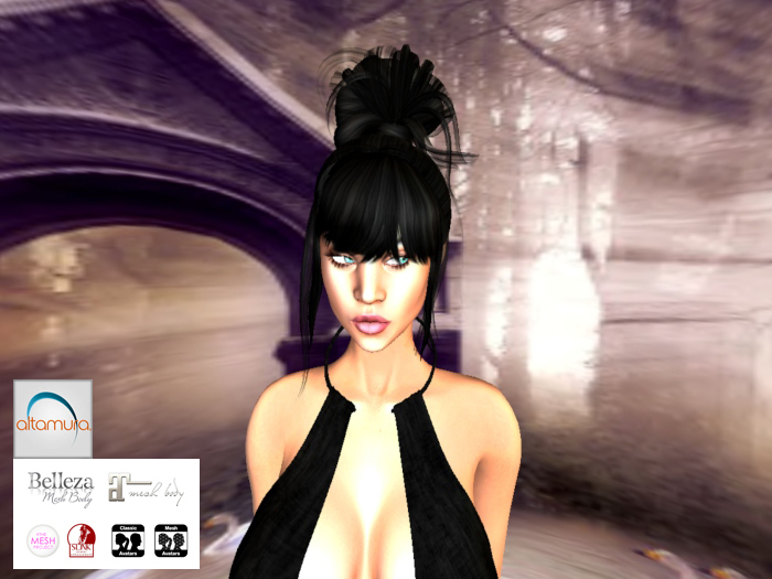 Hair Up High Pretty Bun black