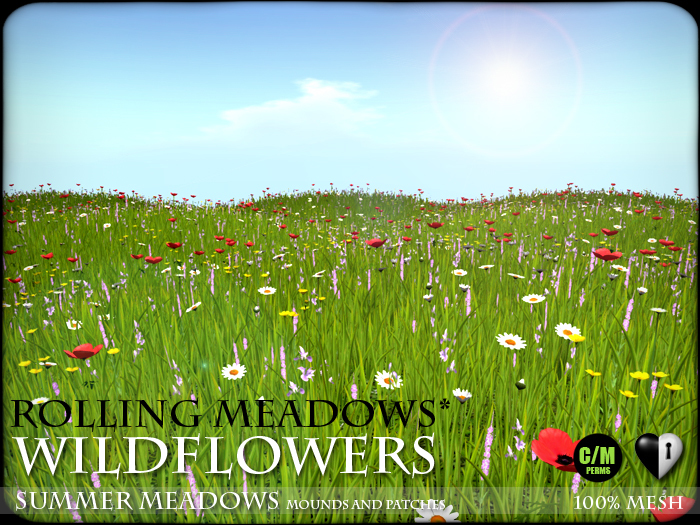 Wild Flowers - Summer Meadows