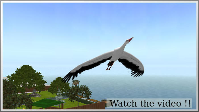 flying stork