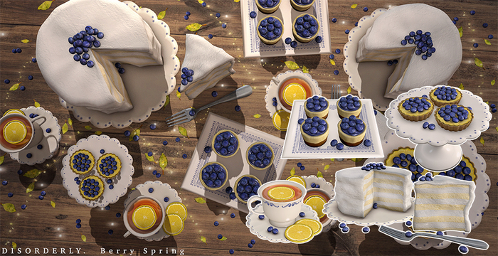 DISORDERLY. / Berry Spring / FATPACK / ADD