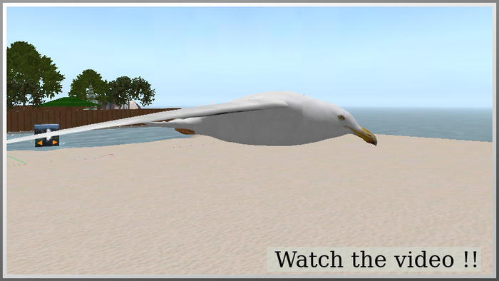 68021 flying seagull