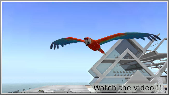 flying ara
