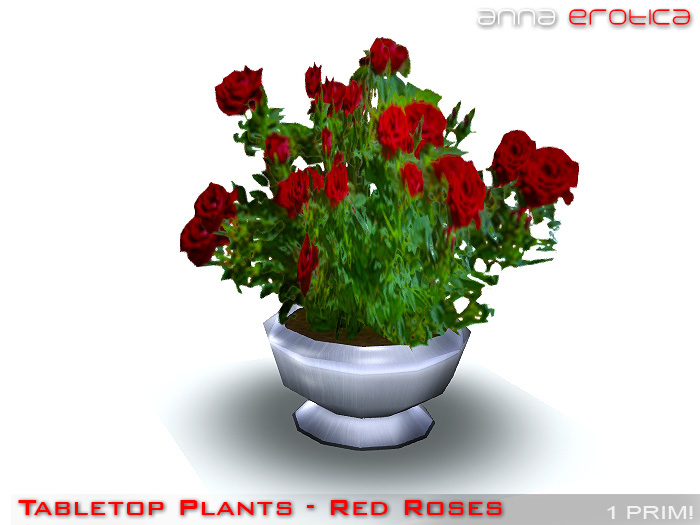 Anna Erotica - Tabletop Plant (Red Roses) (box)