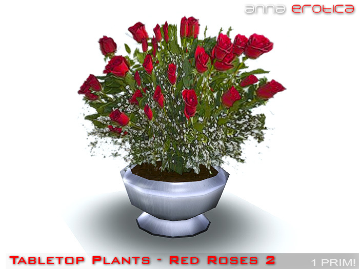 Anna Erotica - Tabletop Plant (Red Roses 2)