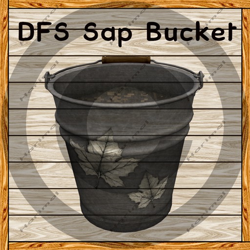 DFS Sap Bucket