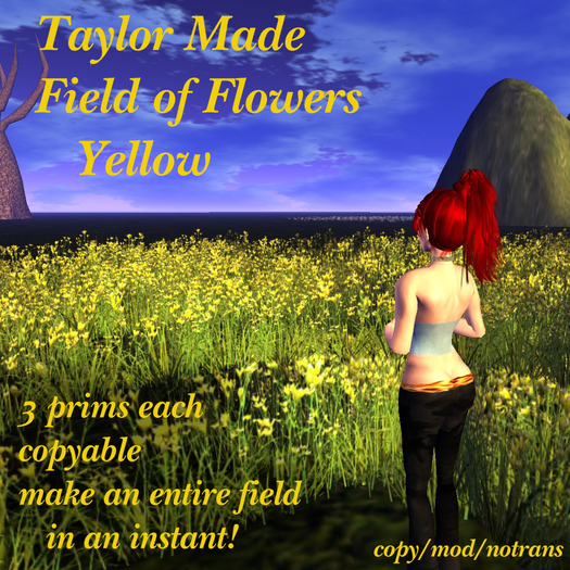 Field of Flowers - Yellow
