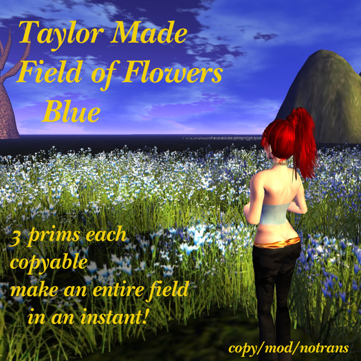 Field of Flowers - Blue